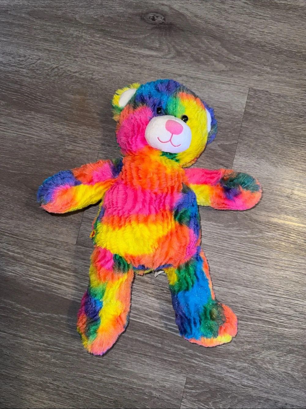 Build A Bear Rainbow Teddy Bear